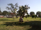 STADION  2012  MEXIC GUADALAJ