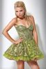 Puffy-Dresses-For-Homecoming[1]