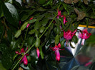 DSCN4210