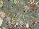 DSCN4237