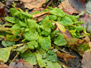 DSCN4248