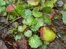 DSCN4256