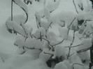 DSCN4369