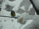 DSCN4375