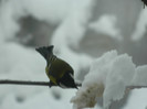 DSCN4376