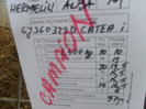 SD531568