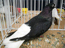 DSCN0692