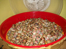 DSCN0077