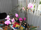 DSCN2566