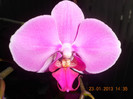 DSCN2570