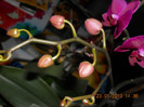 DSCN2573