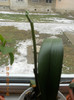 DSCN2575