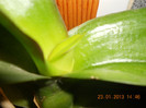 DSCN2586