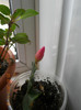 DSCN2576