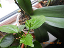 DSCN2577