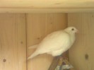 Foto0002