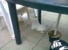 Foto0017