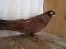 DSC06172