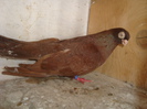 DSC06173
