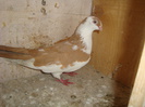 DSC06174