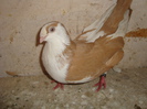 DSC06176
