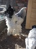 Picture 233