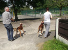 plecam in parc