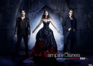 Tvd (1)