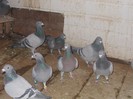 DSCN4918