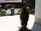 800x600_elis_pavaje_77778_pavaj_rezidential_premium_umbra_dreptunghi_umbra_dreptunghi_5