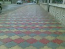 pavaje_111 (1)