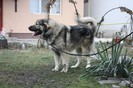 IMG_6667