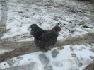 DSCF0581