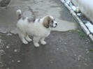 DSCF1254