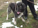 DSCF1337