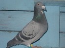 DSCN4946