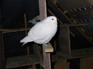 P1080483