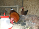 DSCF2686