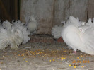 DSCN1174