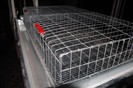 expo_acpara_2013_2_ (347)