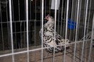 expo_acpara_2013_2_ (352)