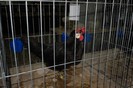 expo_acpara_2013_2_ (357)