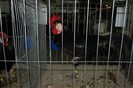 expo_acpara_2013_2_ (358)