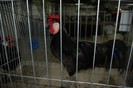 expo_acpara_2013_2_ (359)