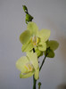 DSCN0661