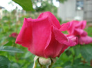DSC09607