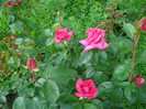 DSC09608