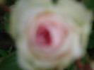 DSC09619