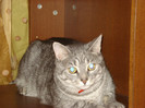 DSC09757