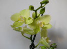 DSCN0673